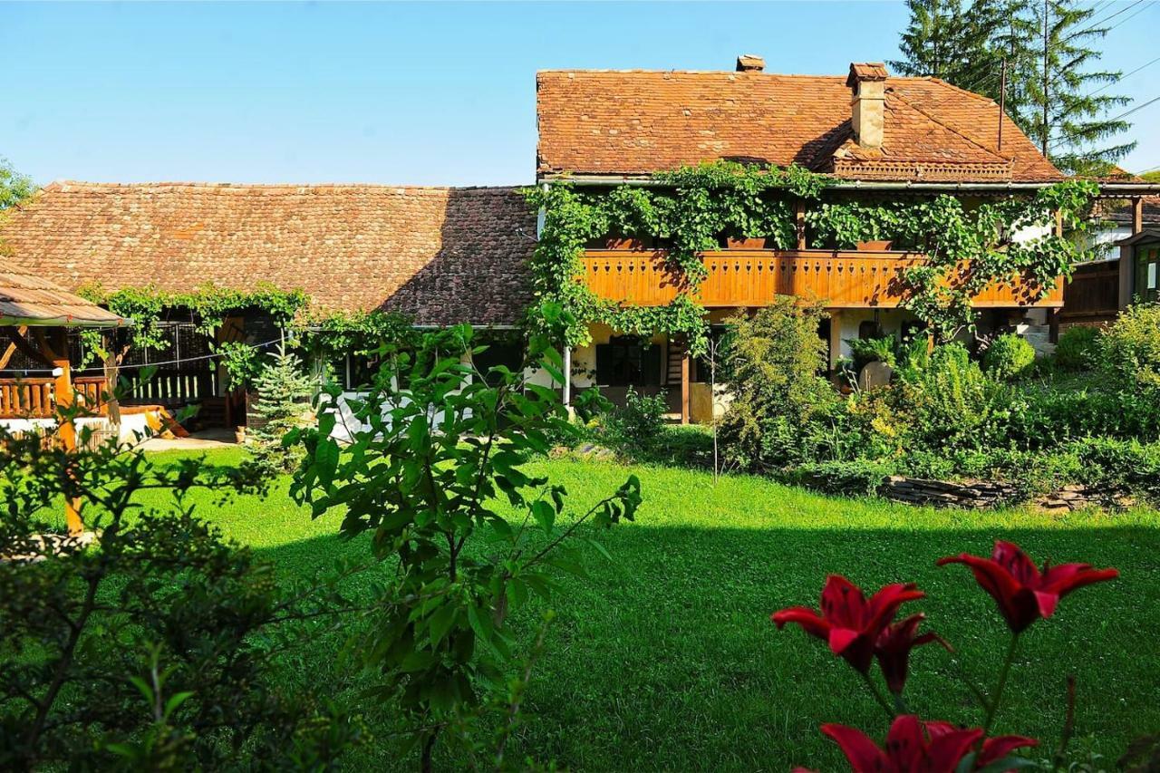 Transylvanian Country House Székelyvécke Kültér fotó