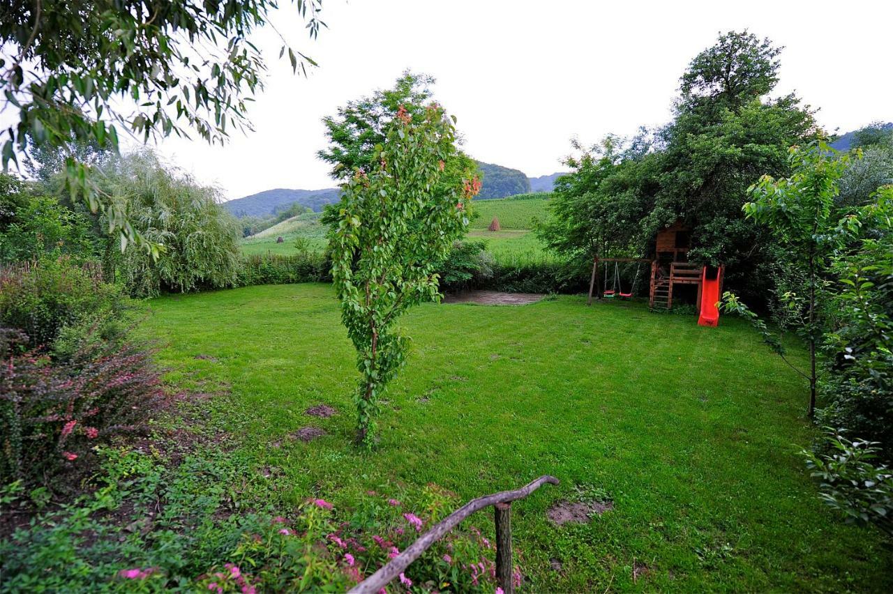 Transylvanian Country House Székelyvécke Kültér fotó